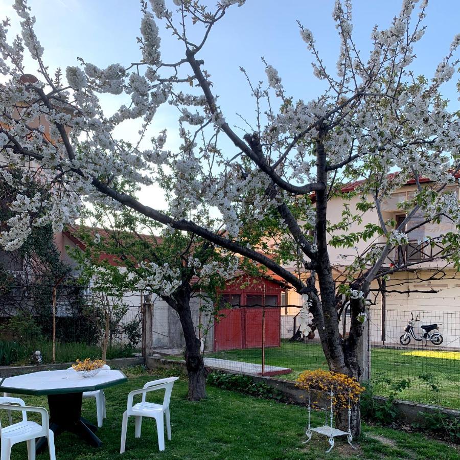 Villa Elena 5***** Vromerí Eksteriør bilde